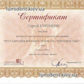Сертификат Курочкин Сергей Игоревич